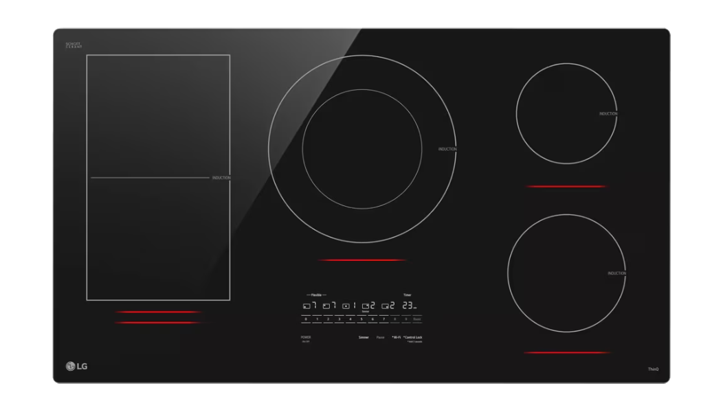 An induction cooktop (LG)